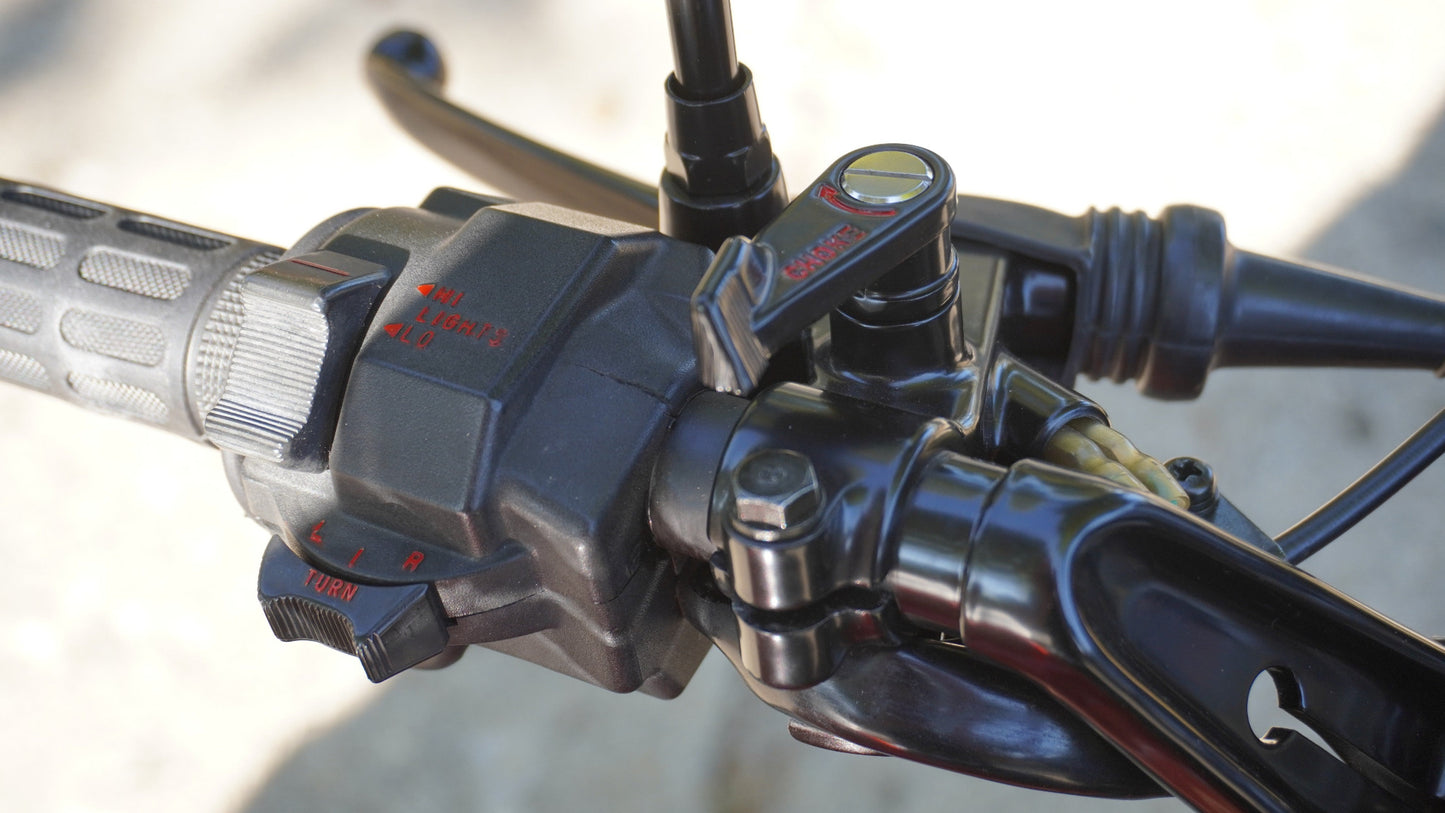 Honda CBX & CB1100F Choke Lever Screw - Polished Stainless Steel